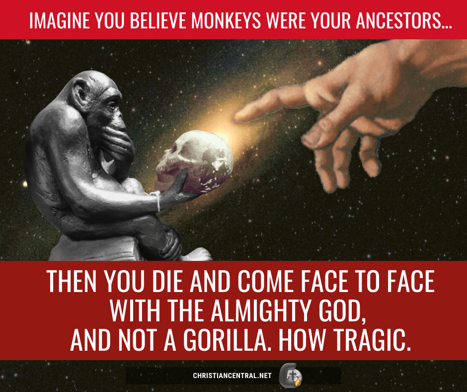 Imagine you believe monkeys were your ancestors